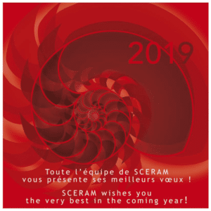 Bonne année 2019